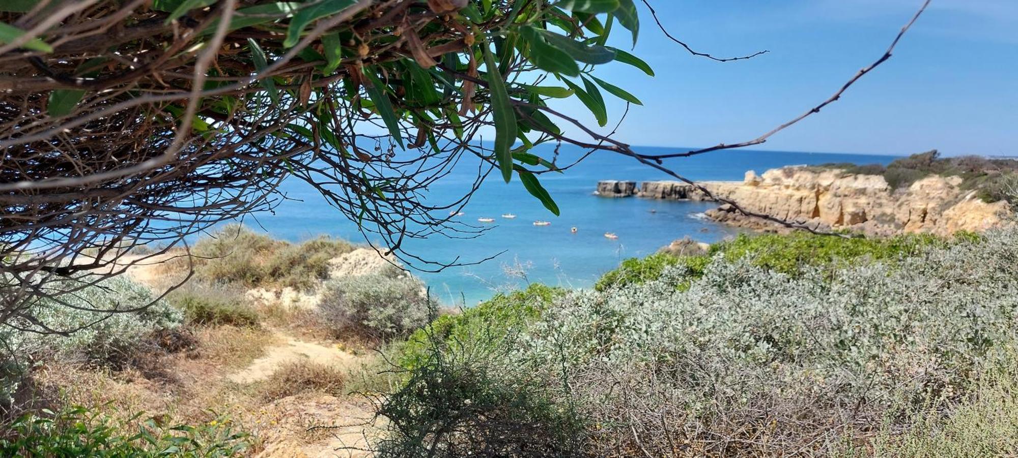 Baia Village - Praia Do Castelo - Gale - อัลบูเฟรา ภายนอก รูปภาพ